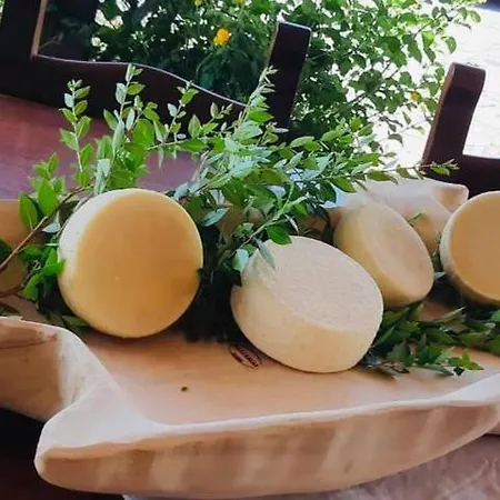 Funtan'arva * Loculi