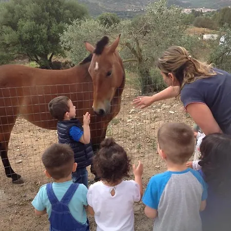 Farm stay Funtan'arva Loculi